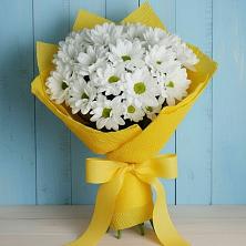 Букет цветов из:  Хризантемы в Коротояке