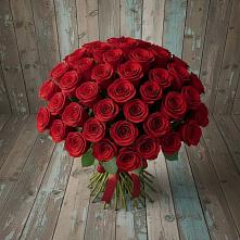 Букет 55 Красных роз Фридом #REPLACE_PRED# Коротояке