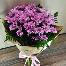 Букет цветов из:  Хризантемы #REPLACE_PRED# Коротояке