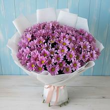 Букет цветов из:  Хризантемы #REPLACE_PRED# Коротояке