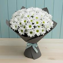 Букет цветов из:  Хризантемы в Коротояке