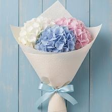 Букет цветов из:  Гортензия в Коротояке