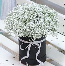 Цветочная композиция из Гипсофила в шляпной коробке в Коротояке