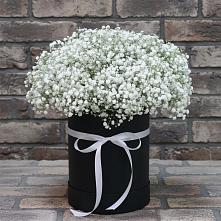 Цветочная композиция из Гипсофила в шляпной коробке в Коротояке