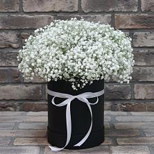 Цветочная композиция из Гипсофила в шляпной коробке в Коротояке