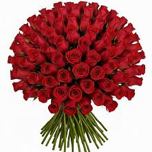 Букет Красные розы Чери Лав #REPLACE_PRED# Коротояке