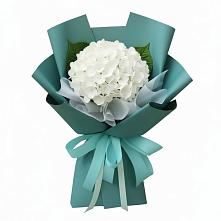 Букет цветов из:  Гортензия в Коротояке